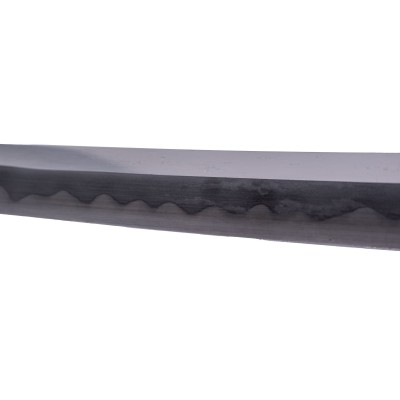 Catana Funcional S6071